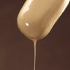 Hazelnut Coating (Copertura Nocciola)