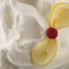 Dehydrated Combined Lemon (Limone Combinato Disidratato)