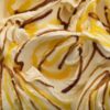 Variegated Caramel (Variegato Caramelo)